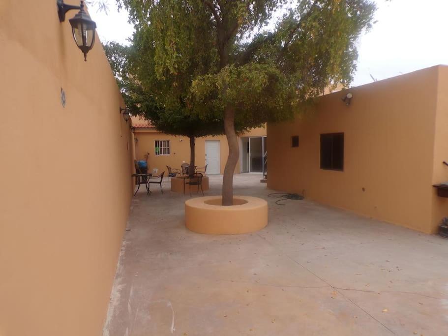 Apartamento 12 Con Dos Camas , A 200 Mts Del Vado Del Rio , Cerca Del Centro De Gobierno , Internet De Alta Velocidad Hermosillo Buitenkant foto